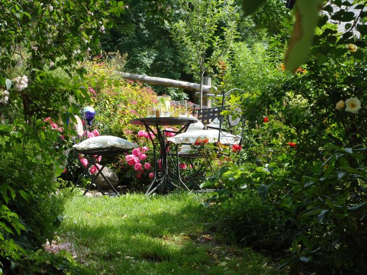 Rosen Blumen Wohlfühl Plätzchen Platz zu erholen ruhen genießen Wellness