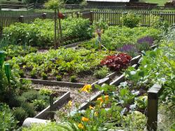 Bauerngarten eigene Produkte Kräuter Garten Bauernhof Nockberge